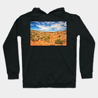 Arches National Park, Moab Utah Hoodie